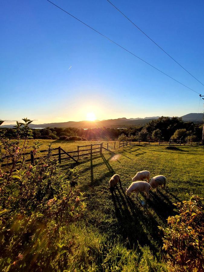 Oaklane Glamping Cabins Kenmare Bagian luar foto